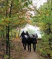 Wandeling van Monke en Judith op 21-10-2012 (19)